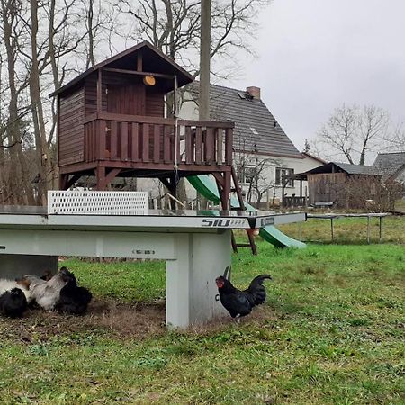 Zur Alten Jugendherberge Burg  Exteriör bild