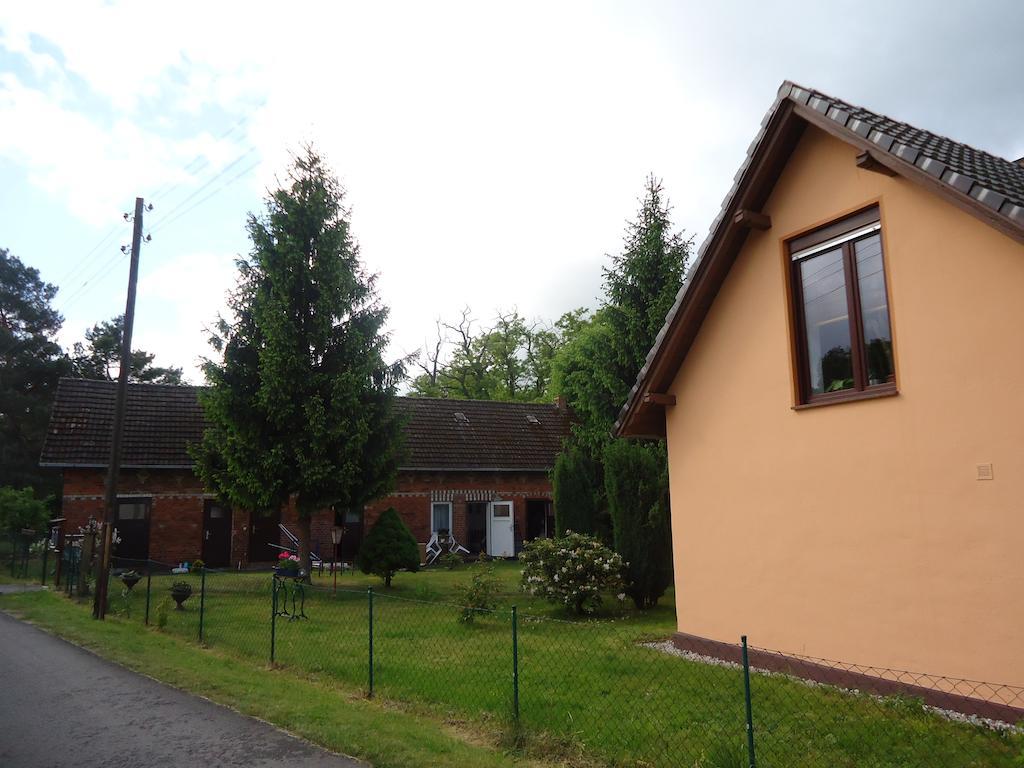 Zur Alten Jugendherberge Burg  Exteriör bild